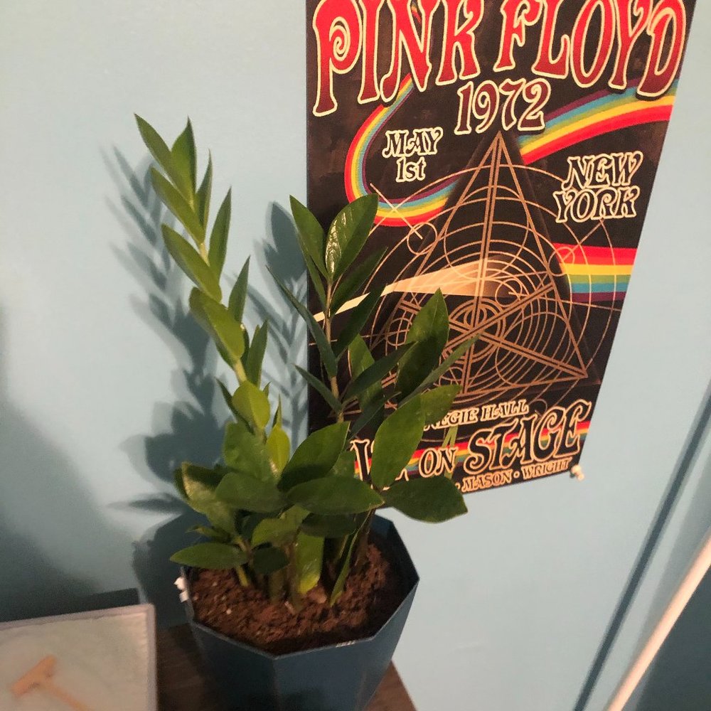 Tons of clothes dropping on January 30th!